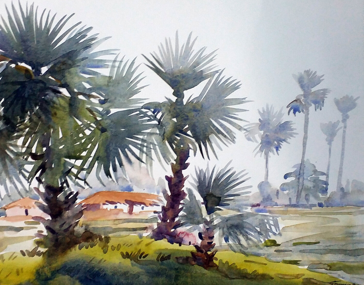 Palm Trees is Rural Village Samiran Sarkar