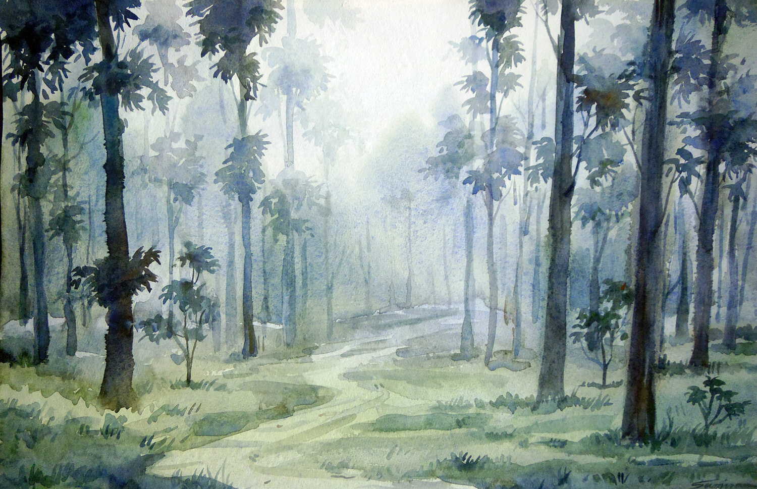 Foggy Forest Samiran Sarkar