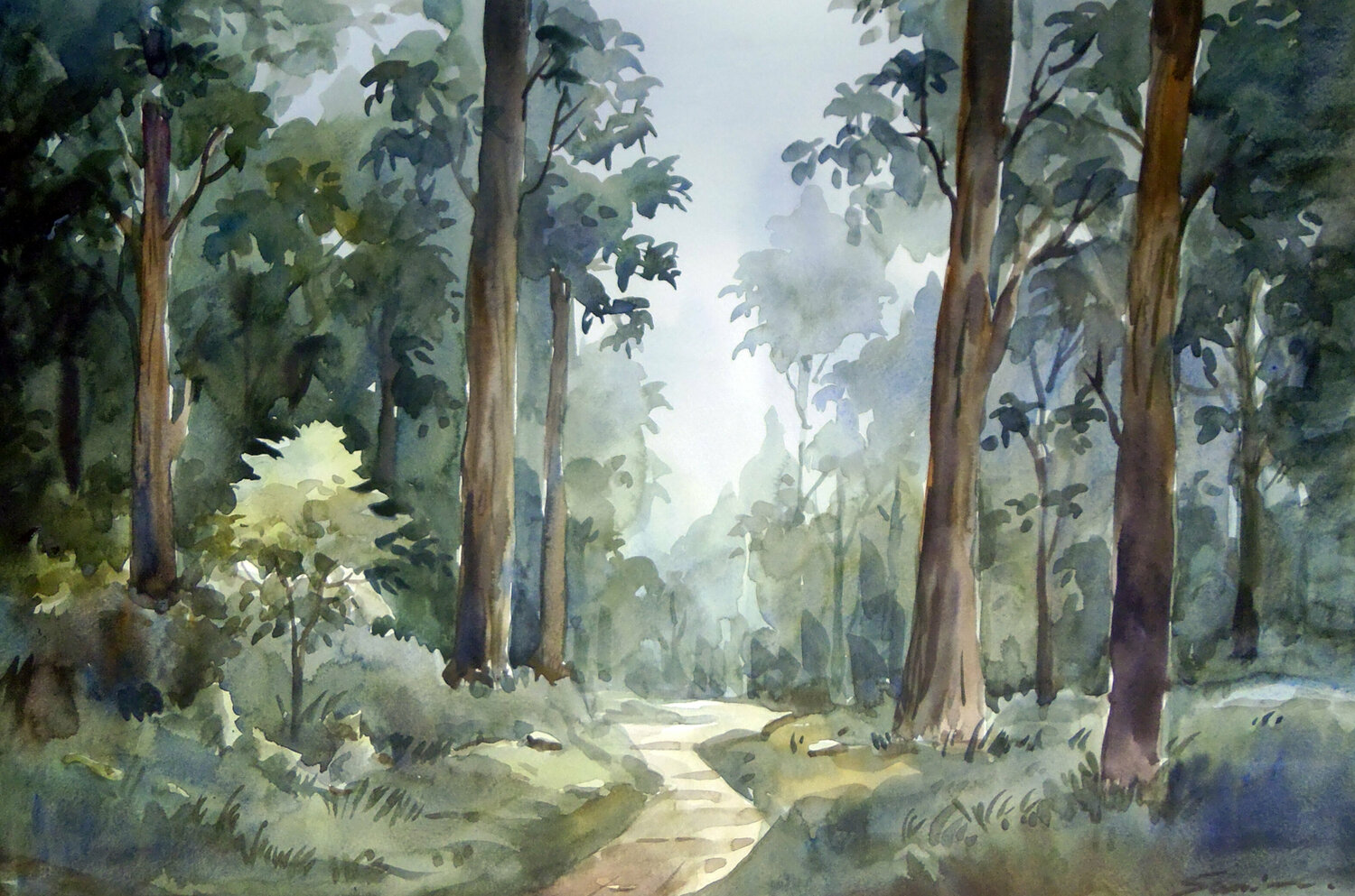 Lonely Forest Road Samiran Sarkar