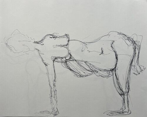 ◍ *(^T / ARTIFACT DOSSIER: TAU-Prime_Object "The Flesh Lexicon" di Leni Smoragdova, Disegno in vendita su Singulart