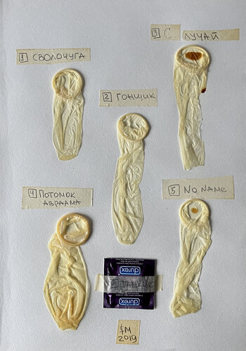 TAXONOMY / Intimate Liabilities (Ledger №7) di Leni Smoragdova, Disegno in vendita su Singulart