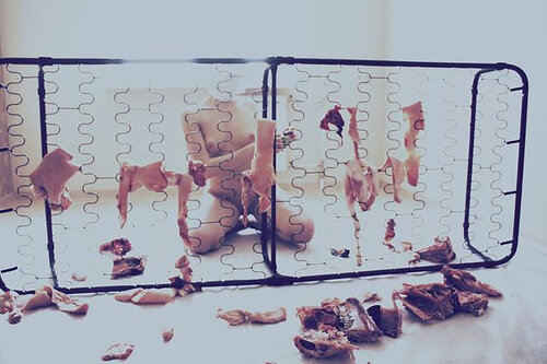 L::: / Figures collection: animals version - {$M} di Leni Smoragdova, Fotografia in vendita su Singulart