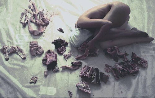 y5j3 / Figures collection: animals version - {$M} di Leni Smoragdova, Fotografia in vendita su Singulart