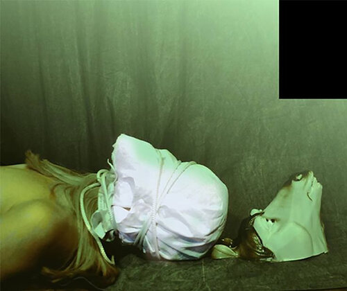 )t%3 / Figures collection: animals version - {$M} di Leni Smoragdova, Fotografia in vendita su Singulart