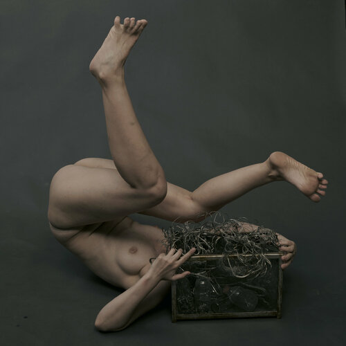 Figure collection: Mirrow VERSION {$M} - Limited Edition van Leni Smoragdova, Fotografie te koop op Singulart