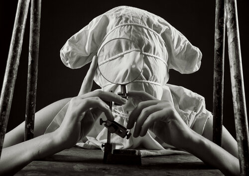 Figure collection: Mirrow VERSION {$M} - Limited Edition van Leni Smoragdova, Fotografie te koop op Singulart
