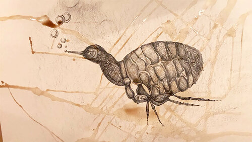 The body in pieces finds its unity in the image of the other: Let's play the Gods van Leni Smoragdova, Tekening te koop op Singulart