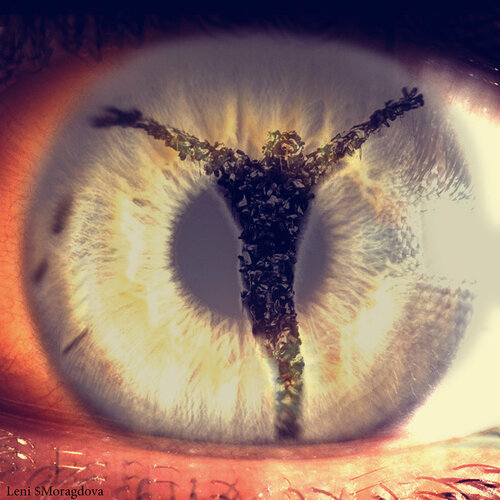 A Portrait of power- what can't be washed: The God van Leni Smoragdova, Digitaal te koop op Singulart