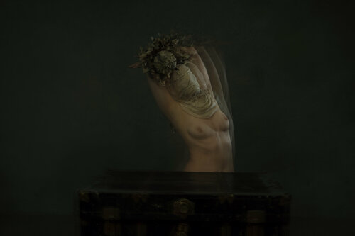 Figures collection: HB version - {$M} - Limited Edition of 10 van Leni Smoragdova, Fotografie te koop op Singulart