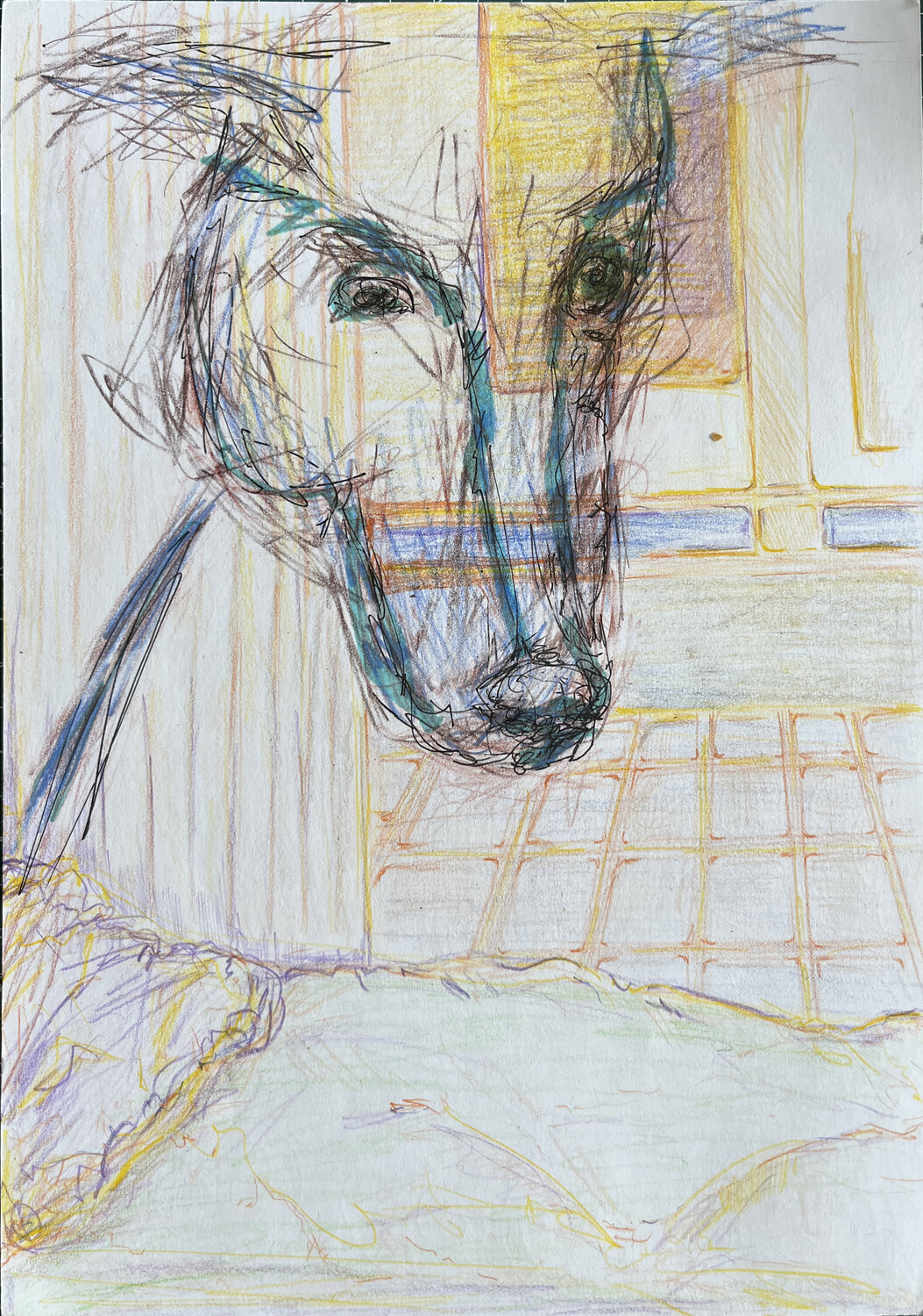 1F43 / Days Without End: Tuesday - {$M} Leni Smoragdova