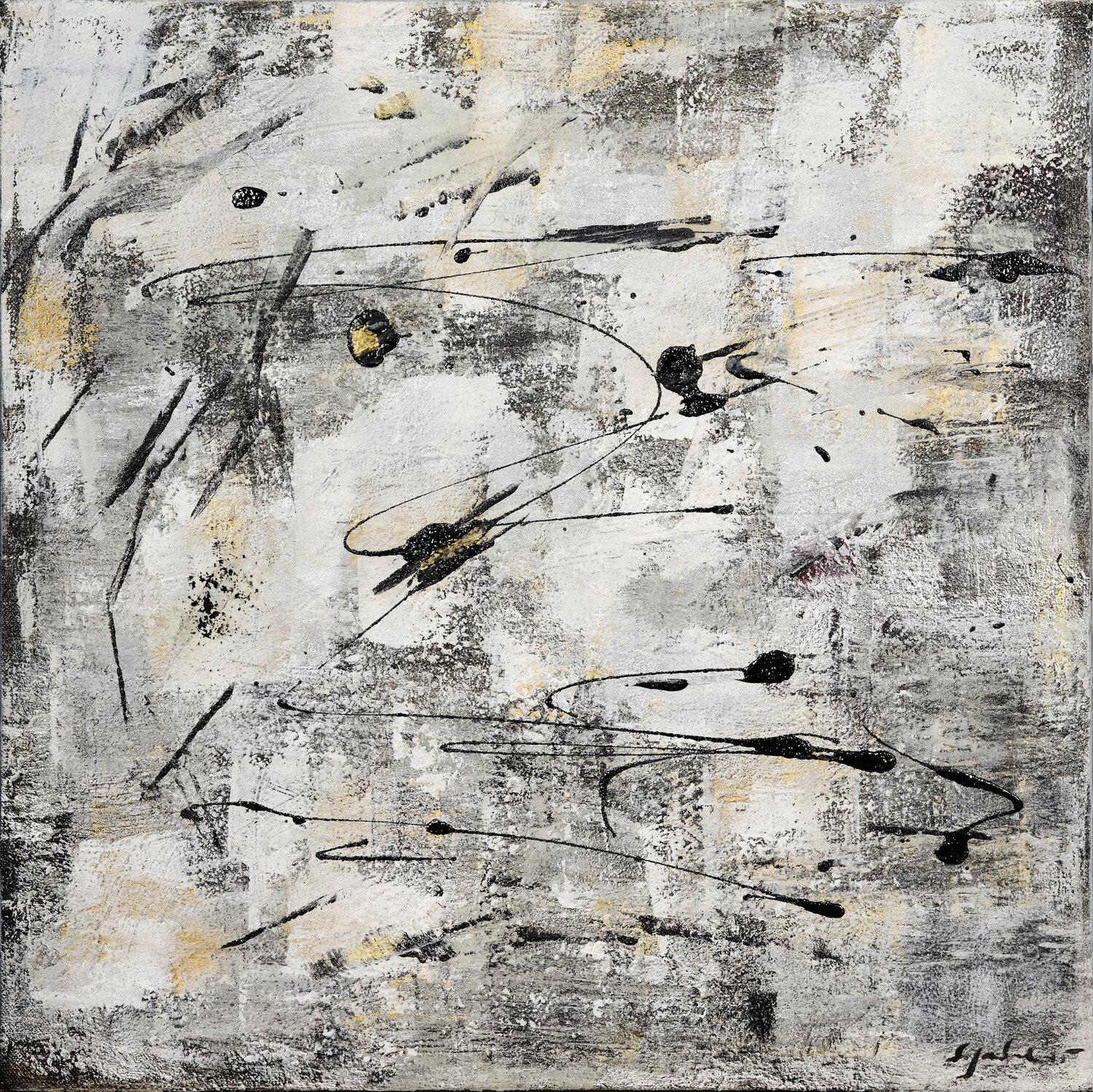 zabbai II Sylvia Goebel