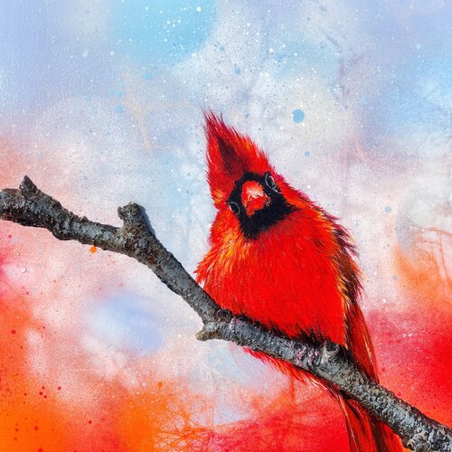 Bird #22 (northern cardinal) di Selene's Art, Pittura in vendita su Singulart
