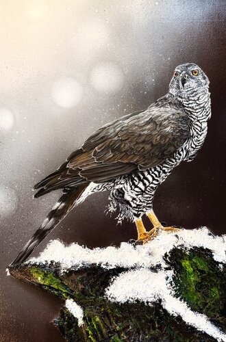 Bird #29 ( European goshawk) von Selene's Art, Malerei kaufen auf Singulart