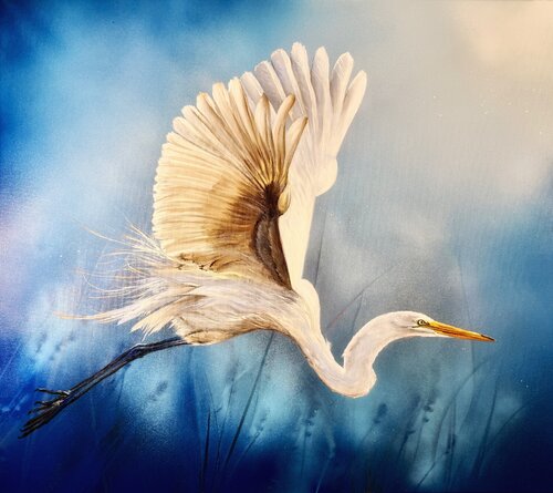 Bird #35 ( white egret) by Selene's Art, Painting for Sale on Singulart