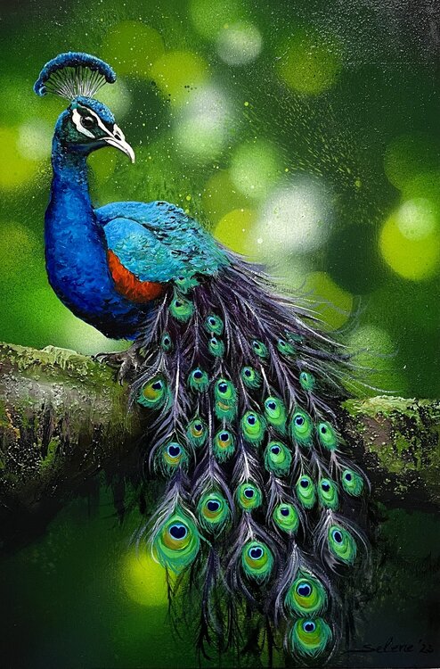 Bird #18 (peacock) Selene's Art