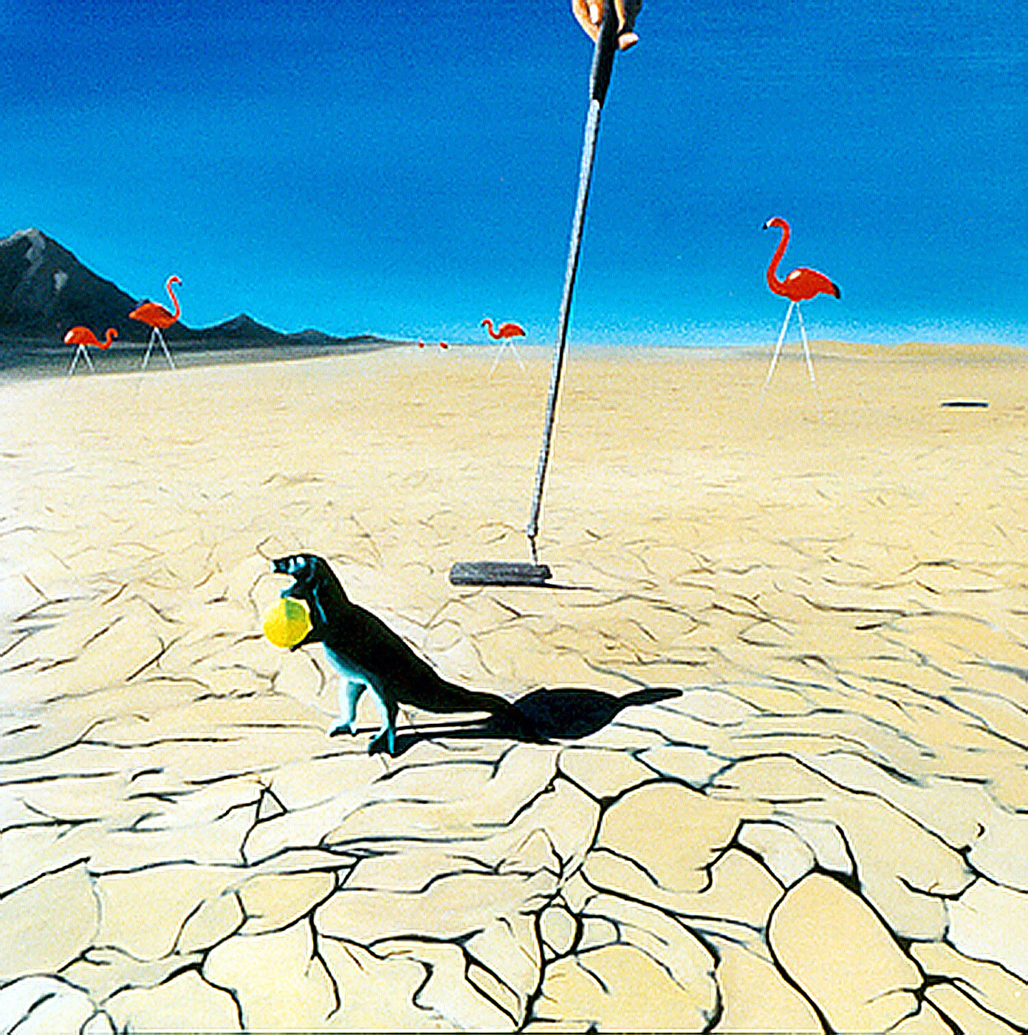 Dans les dunes