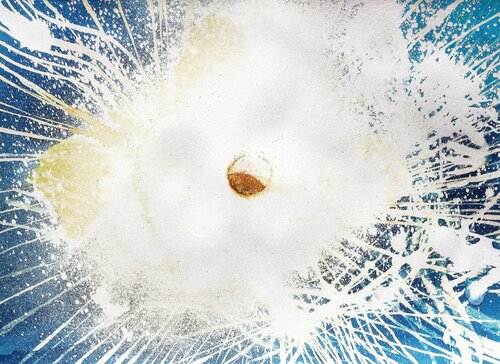 El fulgor se convirtió en un fuego constante Arturo Prins