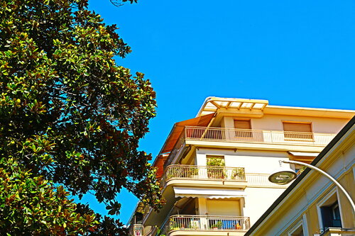 L'arbre de mes plaisirs Arturo Prins