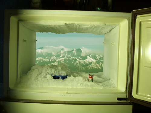 De mi frigor a Himalayas Arturo Prins