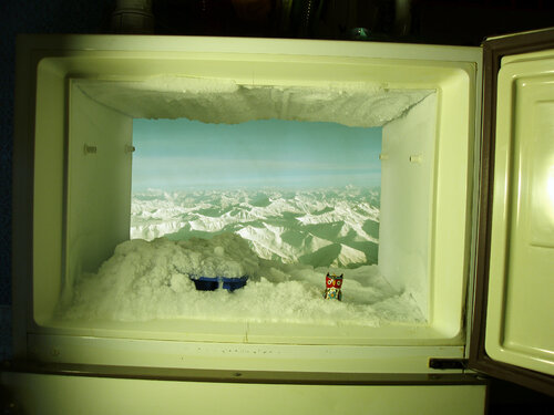 De mi frigor a Himalayas II Arturo Prins