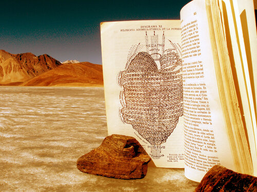 Pangong Lake y Tratado sobre el Fuego Cósmico Arturo Prins