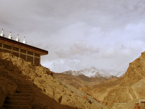 Thikse Gompa Arturo Prins