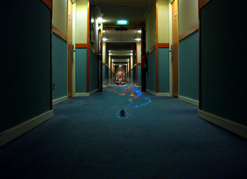 Enlightment Sakadagamin Arturo Prins