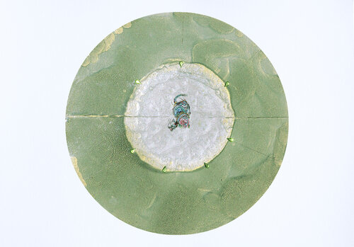 Encédalo von Arturo Prins, Werk auf Papier kaufen auf Singulart