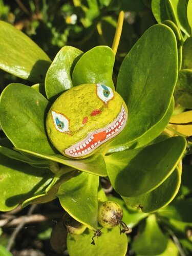 Mimón by Arturo Prins, Other Media for Sale on Singulart