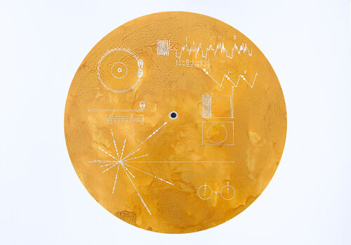 El disco del Hombre Voyager di Arturo Prins, Pittura in vendita su Singulart