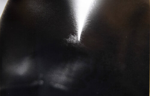 Open Light di Arturo Prins, Fotografia in vendita su Singulart