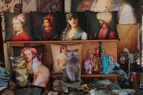 Ishtambul cats Arturo Prins