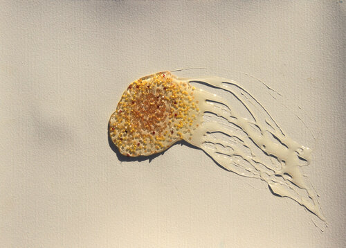 Aguaviva Arturo Prins