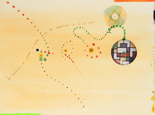 La conciencia se expande a medida que la experiencia de la vida crece di Arturo Prins, Opera su carta in vendita su Singulart