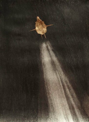 From Leh to Mercury di Arturo Prins, Opera su carta in vendita su Singulart