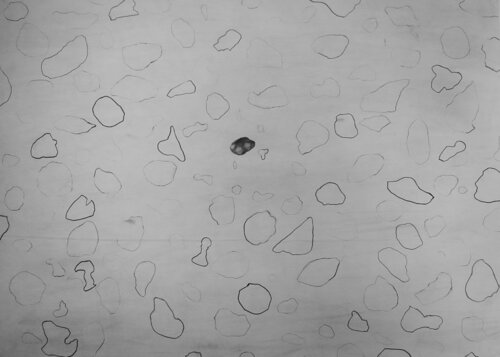 Asteroids Valses di Arturo Prins, Disegno in vendita su Singulart