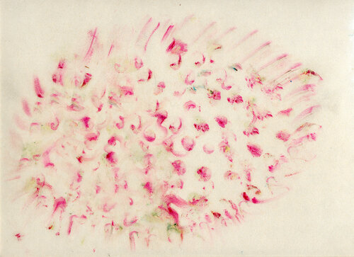 Flowers in point space par Arturo Prins, Dessin en vente sur Singulart