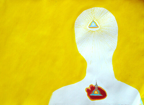 Perfección de la paciencia Arturo Prins