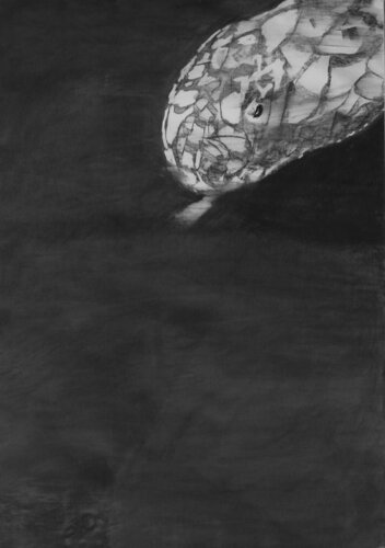 Serpiente par Arturo Prins, Dessin en vente sur Singulart