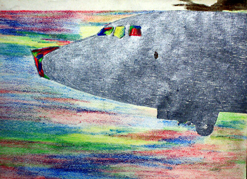 Silver Plane de Arturo Prins, Dibujo a la venta en Singulart