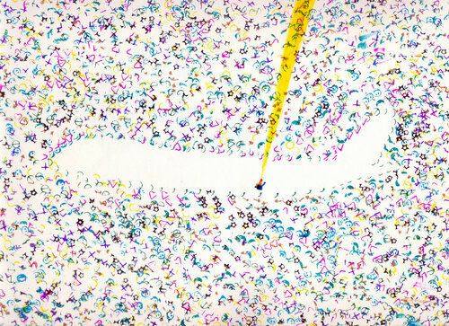 Swiss Air India cosmos Arturo Prins