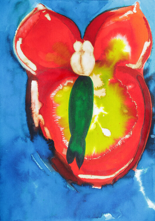 Venus de Willendorf Arturo Prins