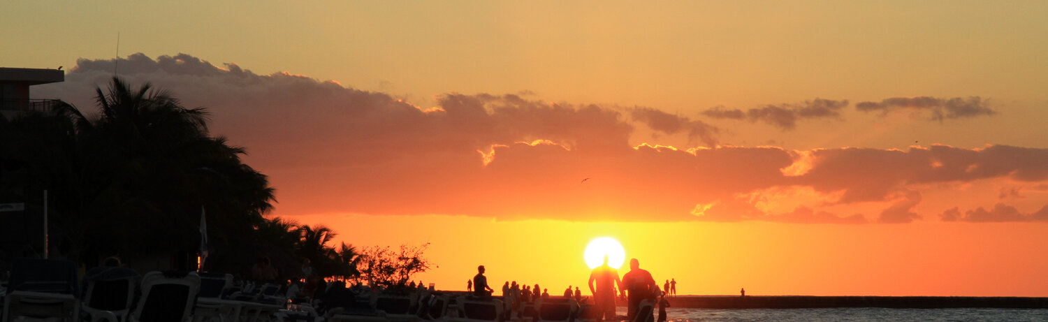 Cabeza de Sol Arturo Prins