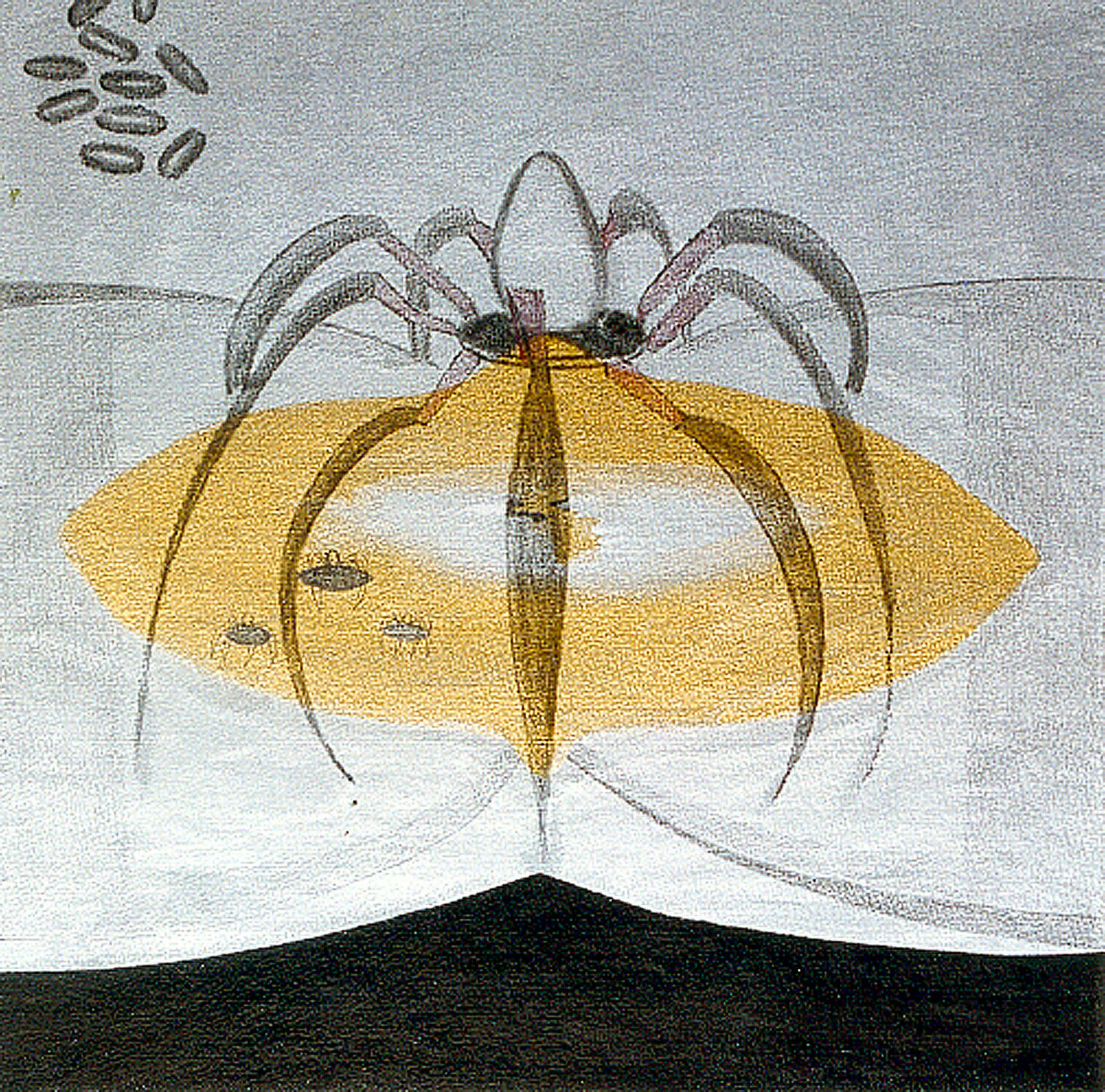 Visualización Arturo Prins