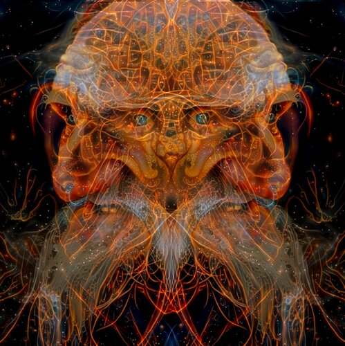 VIVRE Daniel Burgraeve