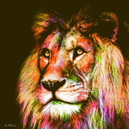 LION COLORS Daniel Burgraeve