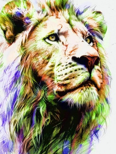 LION COLORS von Daniel Burgraeve, Digital kaufen auf Singulart