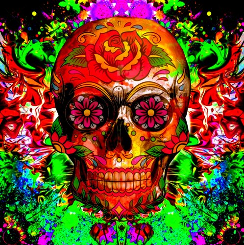 TETE DE MORT 16... 1/10 von Daniel Burgraeve, Digital kaufen auf Singulart