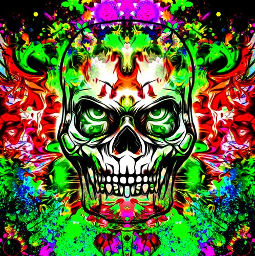 TÈTE DE MORT 15... 1/10 par Daniel Burgraeve, Autres supports en vente sur Singulart