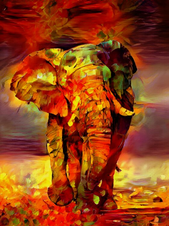 ELEPHANT Daniel Burgraeve